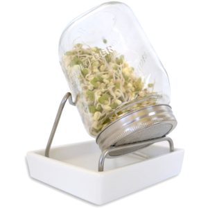 Eschenfelder Sprossenglas System I 1000ml